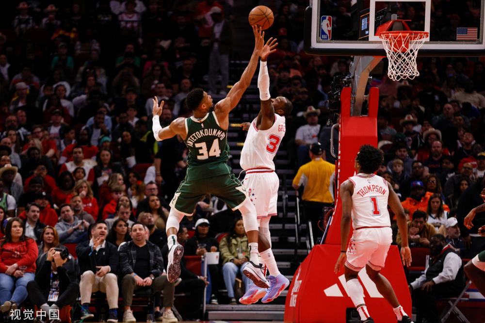 马的职业生 马的职业生